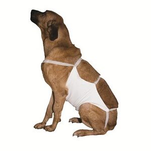 Bandaj abdominal Kruuse cu arici, marimea 4, 51 x 35 cm