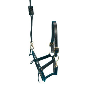Suspensie capastru dentar Equivet