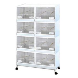 COLIVIE PASARI CRESCATORI TER4020-C4