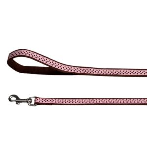 LESA PENTRU CAINI NYLON BULINE PINK CLICK 10MM*130CM