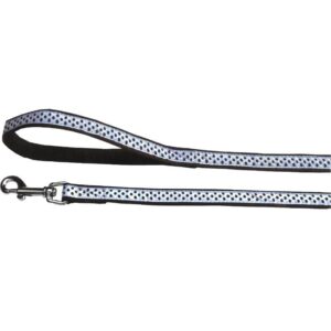 LESA PENTRU CAINI NYLON BULINE BLUE CLICK 10MM*130CM