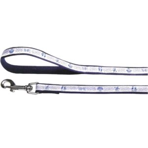LESA PENTRU CAINI NYLON BLUE OLANDA 10MM*100CM
