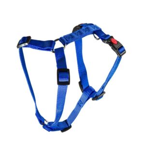 HAM PENTRU CAINI 3X AJUSTABIL NYLON MOL BLUE CLICK 25MM*70-120CM