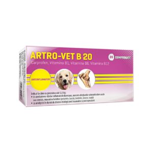 ANTIINFLAMATOR PENTRU CAINI ARTRO-VET B 20 2x10CP