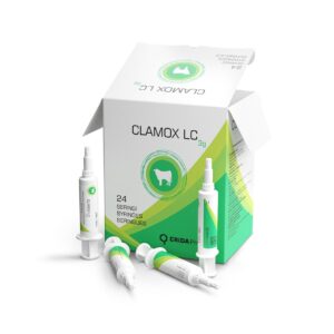 CLAMOX LC -INTRAMAMAR LACTATIE