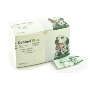 DEHINEL PLUS 100TB