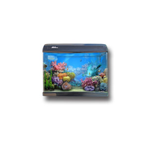 ACVARIU ADA 70LT KB-600F